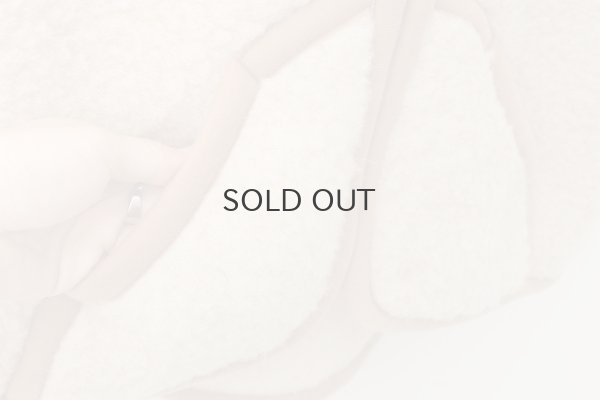 画像6: ROBBY ボアベスト (BG)