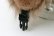 画像16: KAP Ear Flap Cap