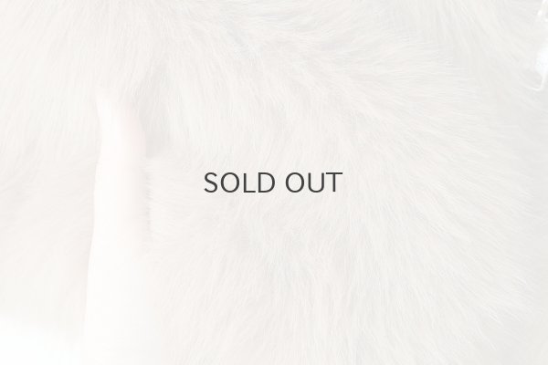 画像10: OWEN ZIPUP CAPE (BR)