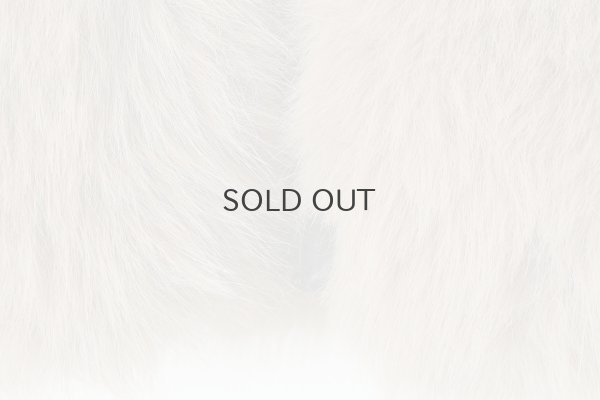 画像7: OWEN ZIPUP CAPE (BR)