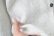 画像7: Half Sleeve Gather Shirts (SC) (7)