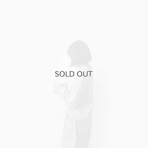 画像9: 別注カラー!! STAND COLLAR LONG SLEEVE TOP  (BG)