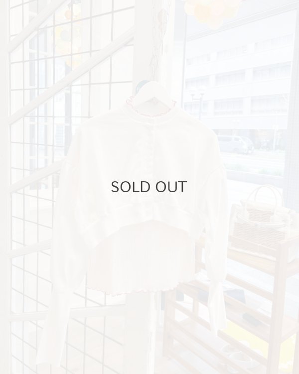 画像10: オーガニックブルーゼ メロー配色半袖プルオーバー (IV)