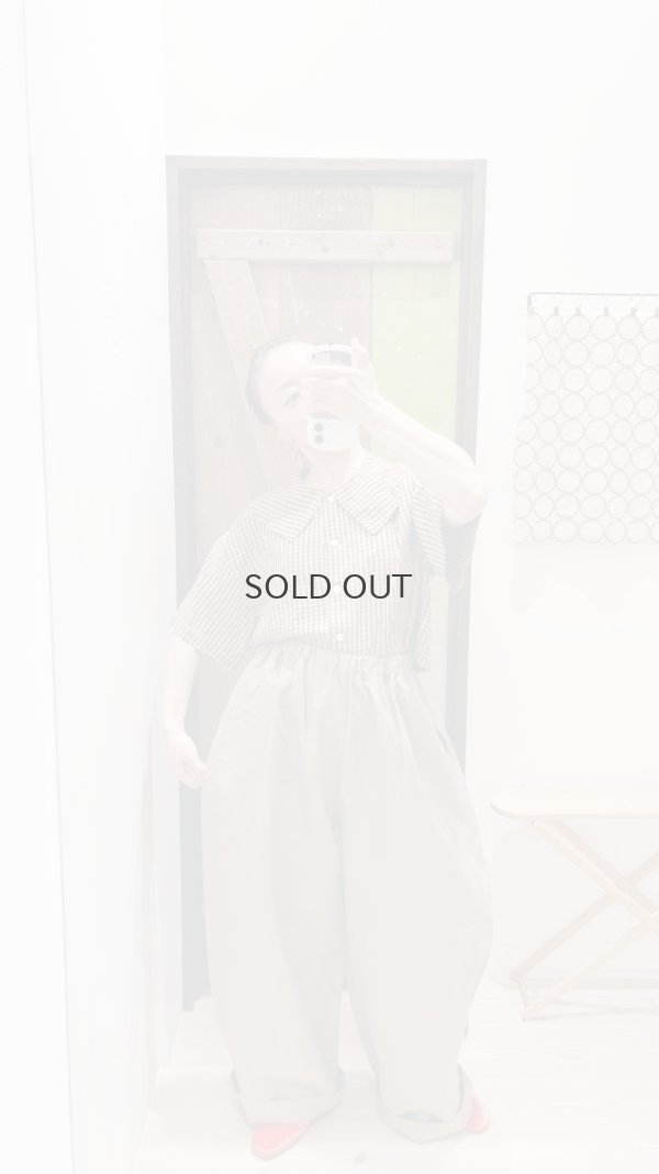 画像10: W/LギャザーワイドPT (252-3389:BG)