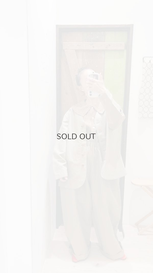 画像13: W/LギャザーワイドPT (252-3389:BG)