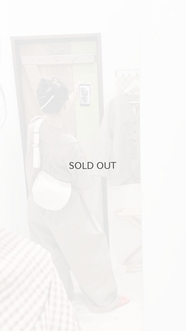 画像12: W/LギャザーワイドPT (252-3389:BG)