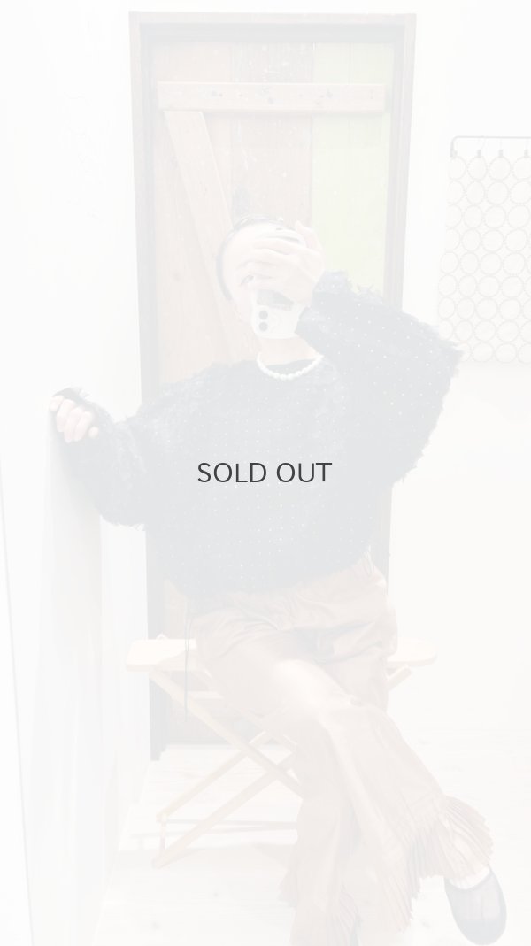 画像12: Khadi Silk Organdy & Embroidery Blouse (BK)