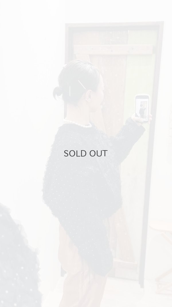 画像13: Khadi Silk Organdy & Embroidery Blouse (BK)