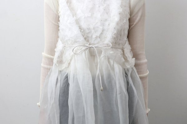 画像15: shop別注!! Khadi Silk Organdy & Embroidery Dress (OWH)