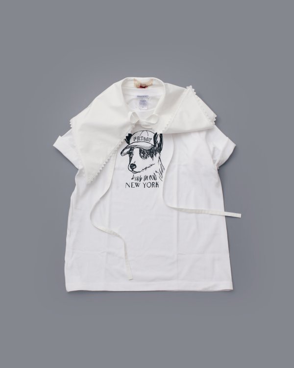 画像12: detachable collar