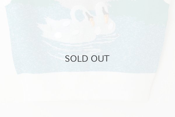 画像6: スワンプルオーバー (WH)