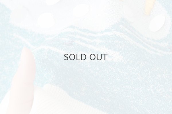 画像10: スワンプルオーバー (WH)