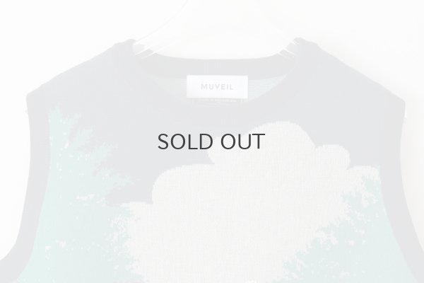 画像3: スワンプルオーバー (NV)