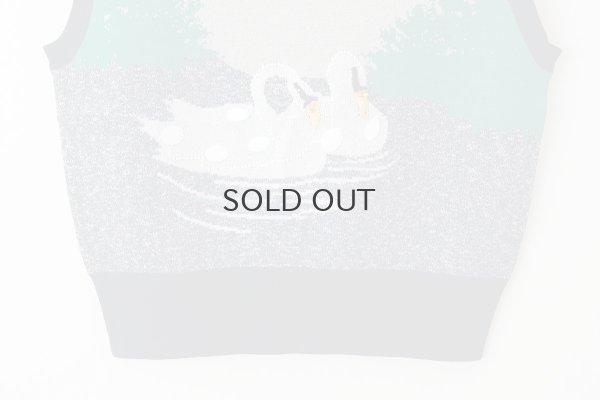 画像5: スワンプルオーバー (NV)