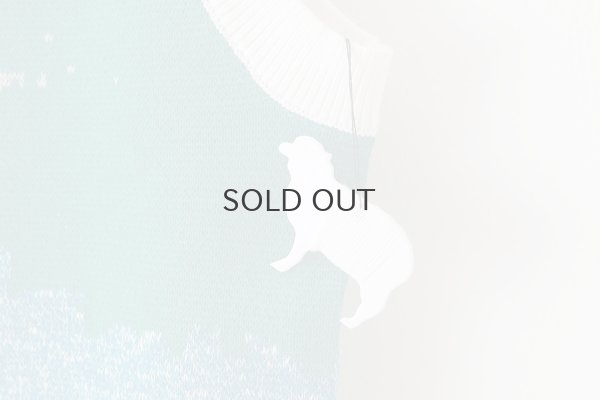 画像9: スワンプルオーバー (WH)