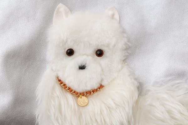 画像5: SALE40%OFF‼︎ イヌバッグ (SV)