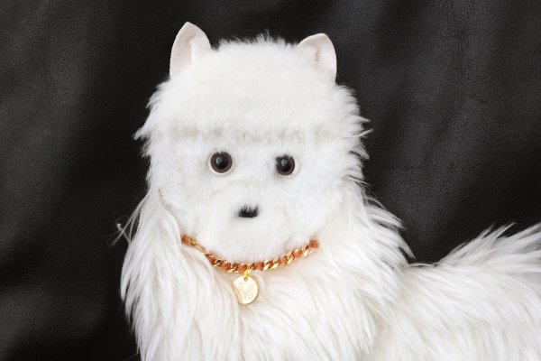 画像5: SALE40%OFF‼︎ イヌバッグ (BK)