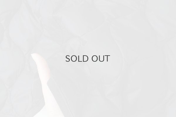 画像9: ミリタリー ダウンスカート-ソフトシェル (TAION-W150LSSKML-1:DNV)