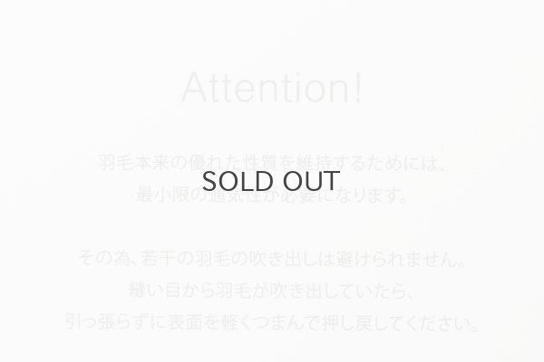 画像9: SALE30%OFF!! マウンテン ボリューム ダウンマフラー (TAION-R201VMT)