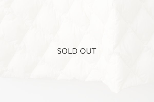 画像6: シティ ダウンスカート (TAION-W151SKCI:OF)