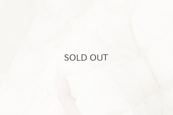 画像9: シティ ダウンスカート (TAION-W151SKCI:OF)