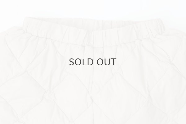 画像3: シティ ダウンスカート (TAION-W151SKCI:GBG)