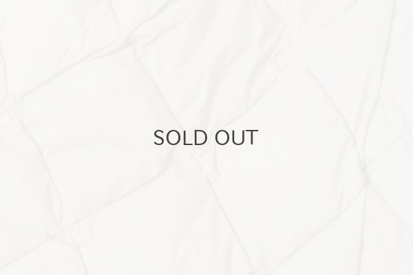 画像10: シティ ダウンスカート (TAION-W151SKCI:GBG)