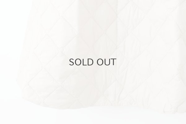 画像7: シティ ダウンスカート (TAION-W151SKCI:GBG)