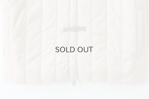 画像9: JPSP チャイナボタン ダウンベスト (TAION-V01JS:BG×BK)