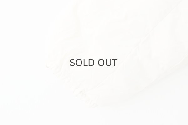 画像9: JPSP チャイナボタン ダウンジャケット (TAION-JK01JS:OF×SG)