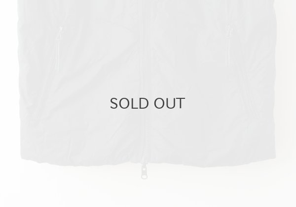 画像10: JPSP チャイナボタン ダウンベスト (TAION-V01JS:BG×BK)