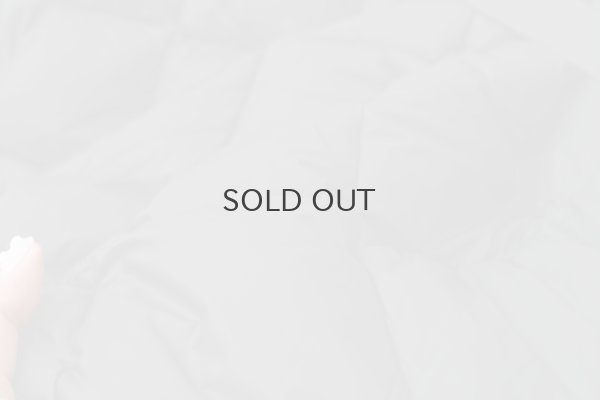 画像3: シティ リバーシブル ダウンストール (TAION-R201CI2-STL:D.CH)