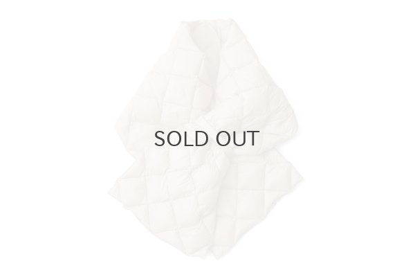 画像1: シティ リバーシブル ダウンストール (TAION-R201CI2-STL:GBG)