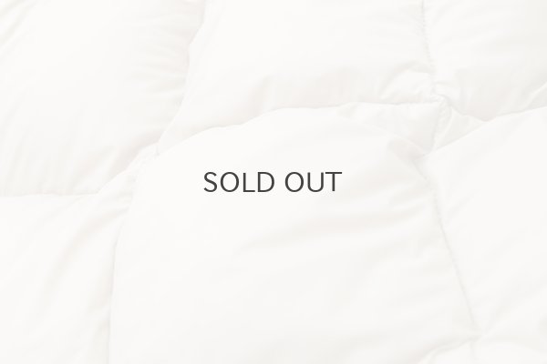 画像4: シティ リバーシブル ダウンストール (TAION-R201CI2-STL:GBG)