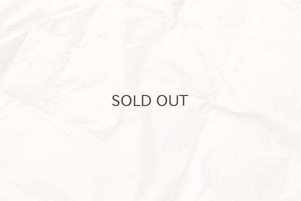 画像6: シティ リバーシブル ダウンストール (TAION-R201CI2-STL:GBG)