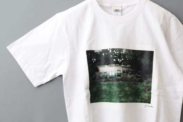 画像4: フォトプリントTシャツ (garden)