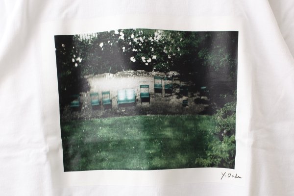 画像5: フォトプリントTシャツ (garden)