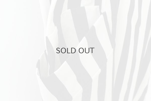 画像5: 別注!! POTTERS APRON (NV×IDST)