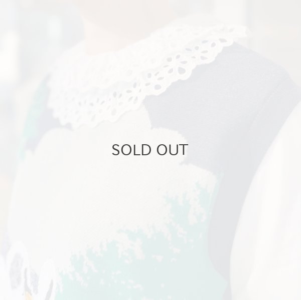 画像13: スワンプルオーバー (NV)