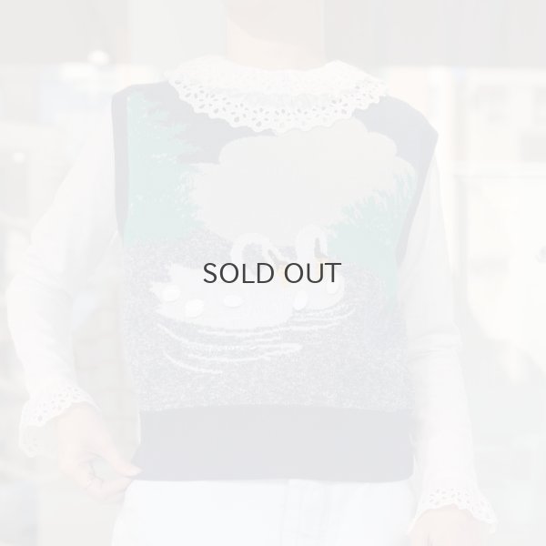 画像12: スワンプルオーバー (NV)