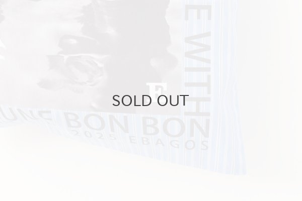 画像6: ボーダーレース・テーマトート (45514:BL)