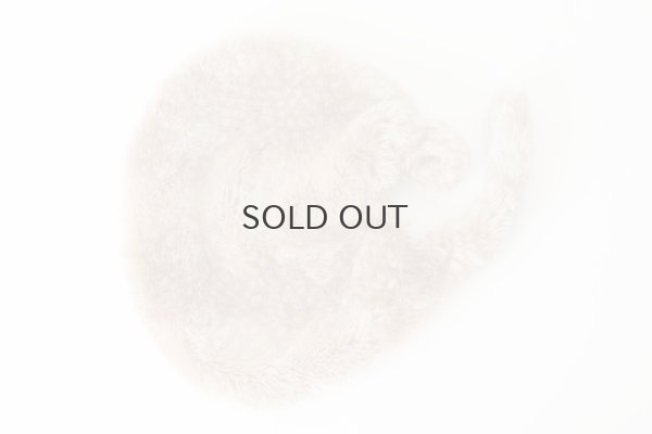 画像14: バンビ・ベレーバケツラフ (15659:BAMB)