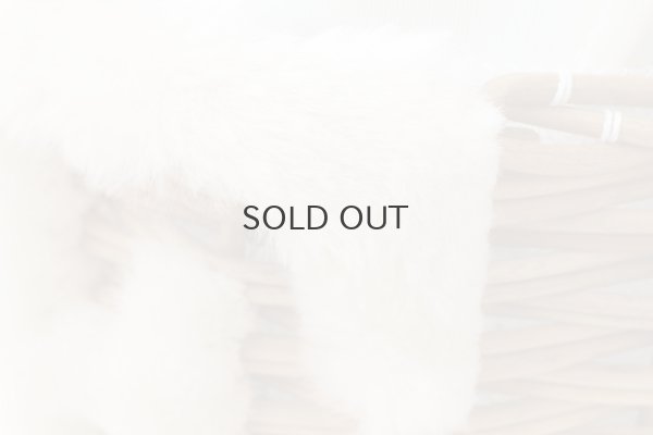 画像5: E from the basket (15578:IV)