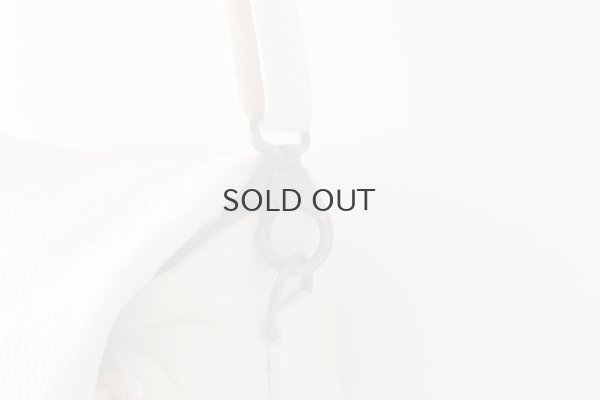 画像7: フニュシュリンク・ボディバッグS (IV)