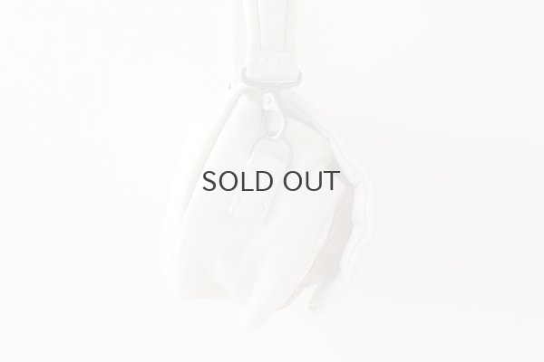 画像5: フニュシュリンク・ボディバッグS (IV)