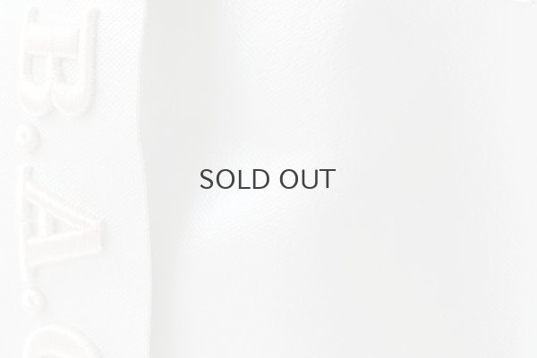 画像12: プロテクトキャンバス Y字トート (15628:SV)