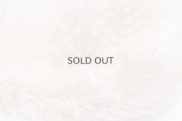 画像5: エコファーバンビ・かぶせ (44634:BMB)