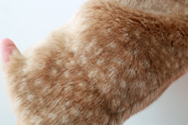 画像8: ジャンパー・ナイロン×バンビ (55630:BAMB)