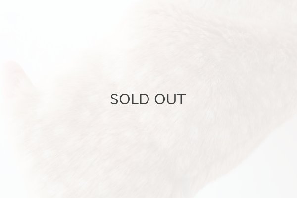 画像8: ジャンパー・ナイロン×バンビ (55630:BAMB)