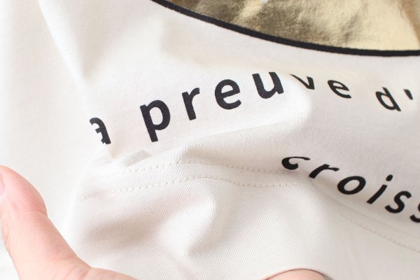 画像7: ミニT・クロワッサンのかけら (56503:BG)